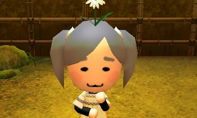 mii image