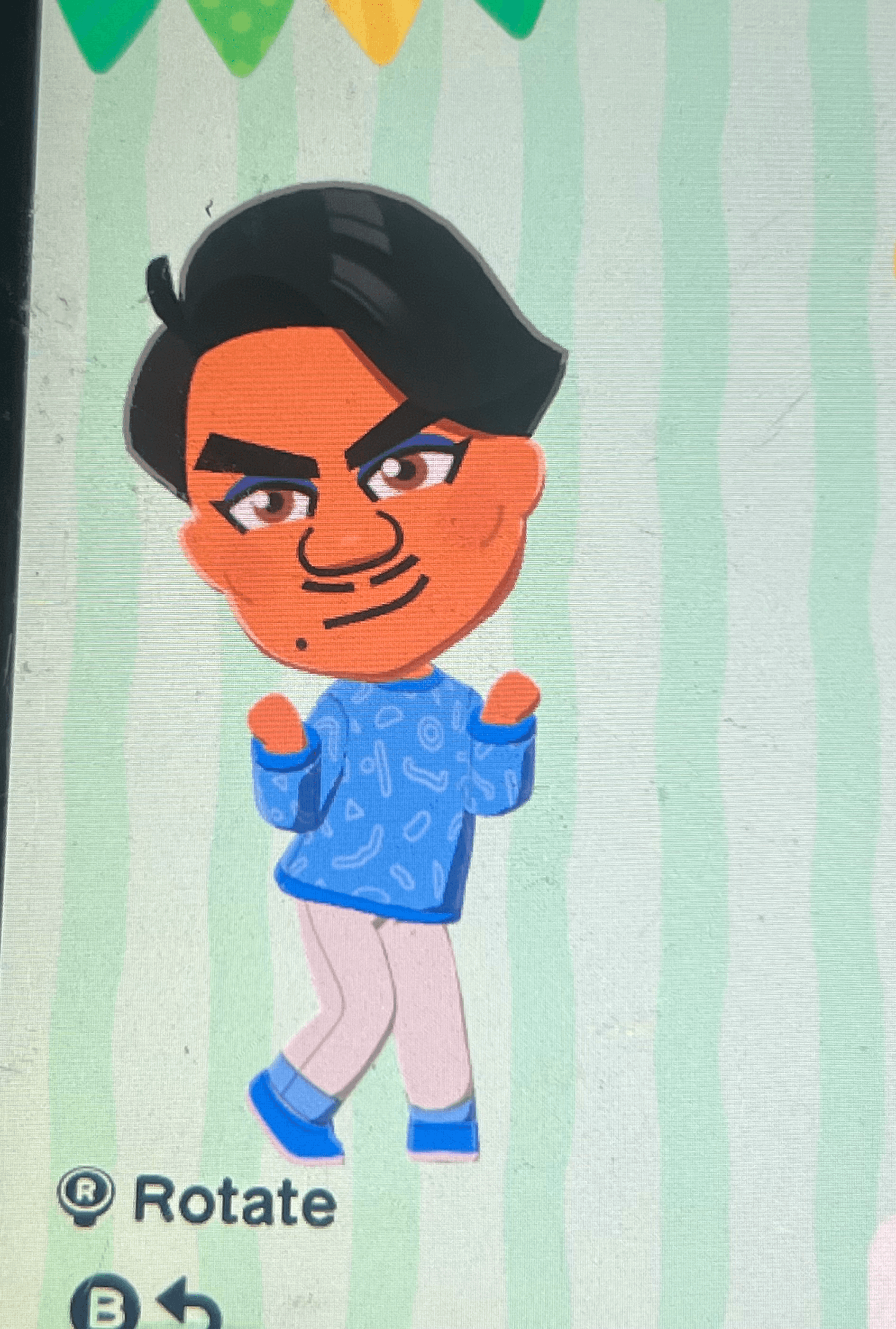 mii image